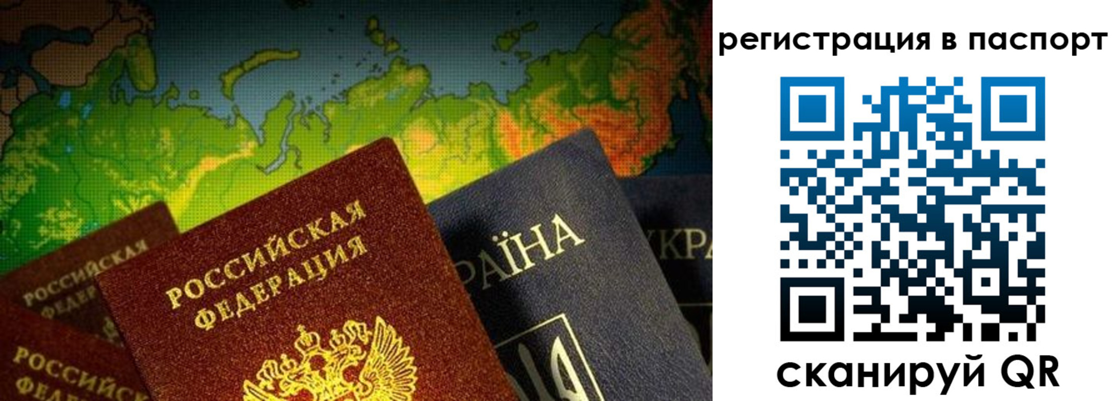 временная регистрация гарантия в Александрове